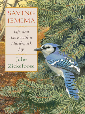 cover image of Saving Jemima